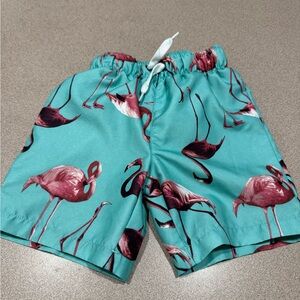 Size 2 Bathing suit Bottoms